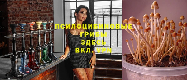эйфоретик Коряжма