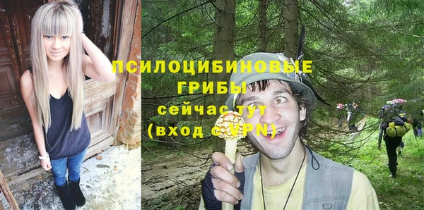 эйфоретик Коряжма